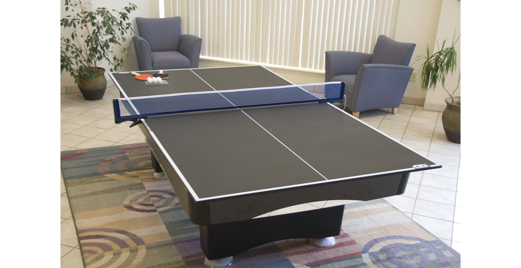 Ping Pong Conversion Top